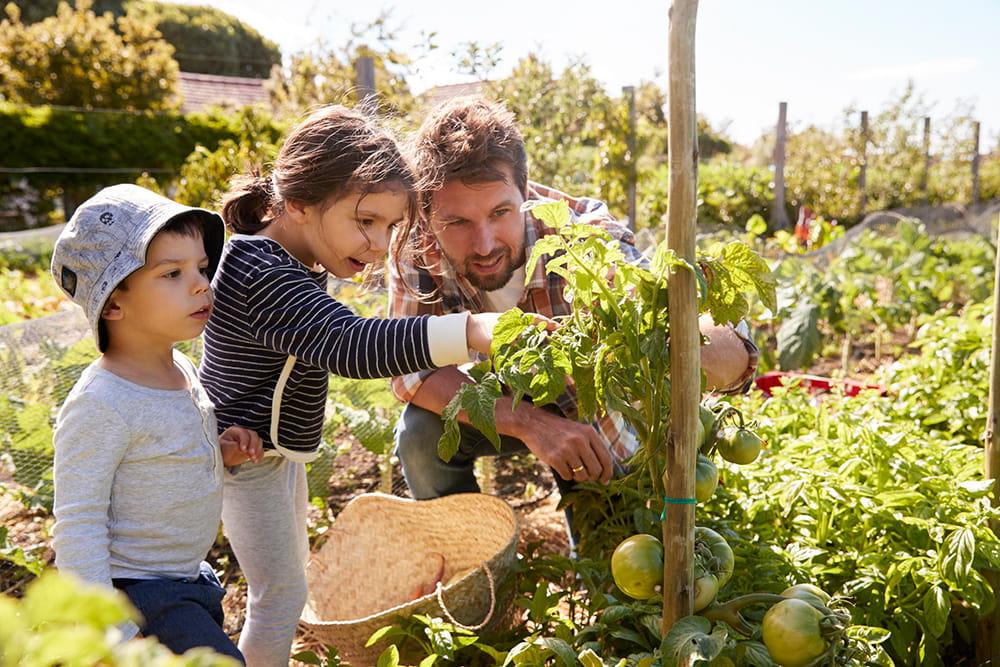 father gardening with kids